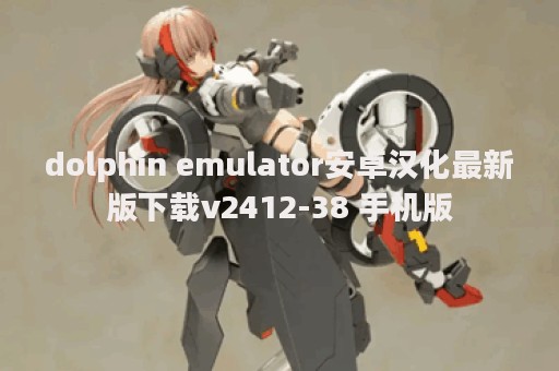 dolphin emulator安卓汉化最新版下载v2412-38 手机版