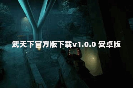 武天下官方版下载v1.0.0 安卓版